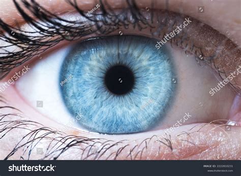 Light Blue Grey Eyes