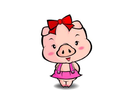 一只快乐的猪 - 知乎