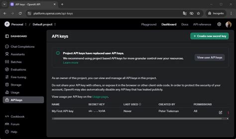 Chat Bot API Key 的图像结果
