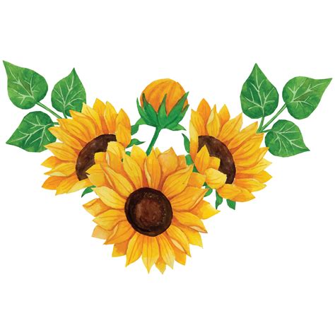 Sunflower Bouquet Clip art Element Transparent Background 24186997 PNG