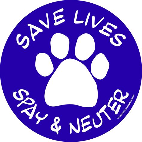 Imagine This 4-3/4-Inch by 4-3/4-Inch Car Magnet Social Issues Circle ...