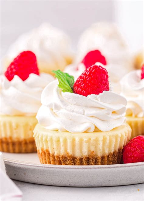 Mini Cheesecakes 的图像结果