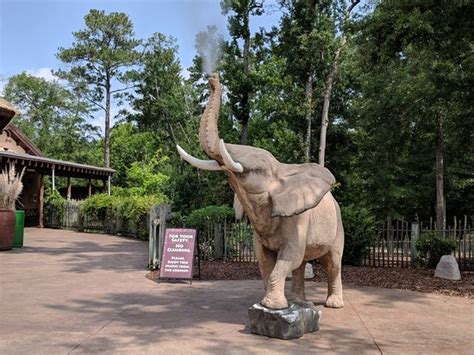 Birmingham Zoo - 2021 What to Know Before You Go (with Photos ...