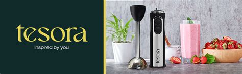 Buy [NEWLY LAUNCHED] Tesora Hand Blender with 2 Speed Modes | Food ...