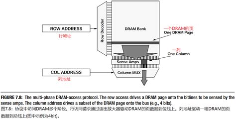Dram Decoder Basic 的图像结果