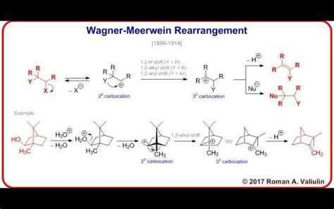 Please give mechanism for wagner meerwein rearrangement reaction.