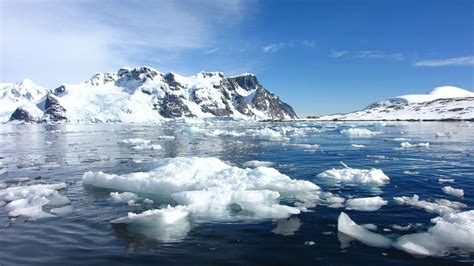 Antarctica vs Arctic: Exploring the Polar Regions