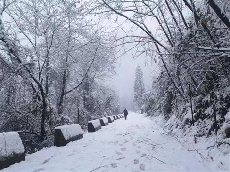 2020年第一场雪来了_图片新闻_河南省人民政府门户网站