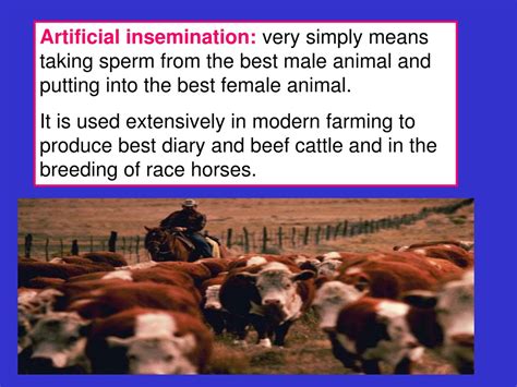 PPT - Artificial Insemination PowerPoint Presentation, free download ...