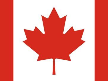 Vision Abroad Education and Employment