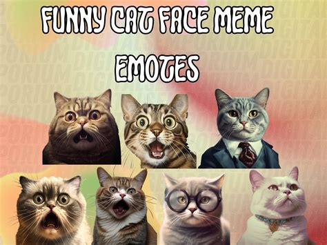 Funny Cat Faces Meme Emote Collection Twitch & Discord | Channel Points ...