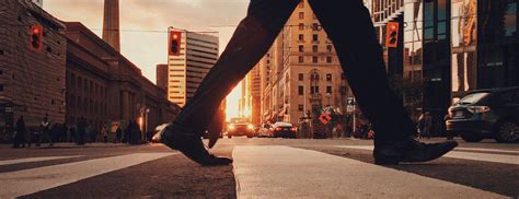 MetaMorphoSys • Digital Insurance Platform