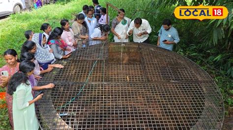 Chlorination drive begins in Thalassery as part of Water Safety ...