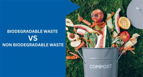 Image result for Biodegradable Waste Example