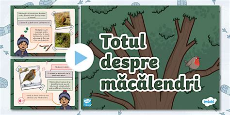 Totul despre măcălendri – Prezentare PowerPoint