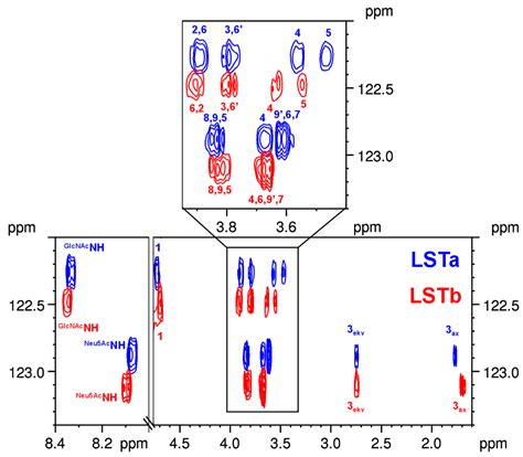 Utilizing the 1H-15N NMR Methods for the Characterization of Isomeric ...