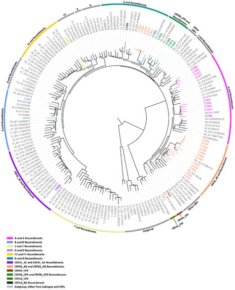 Comparative HIV-1 Phylogenies Characterized by PR/RT, Pol and Near-Full ...