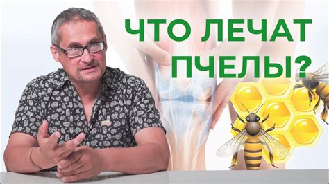 Апитерапия или лечим остеохондроз пчелами