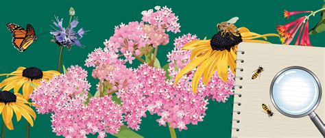 Pollination Importance 的图像结果