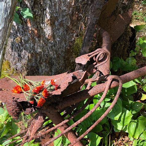 RONNING’S GARDEN - All You Need to Know BEFORE You Go 2026 (with Photos ...