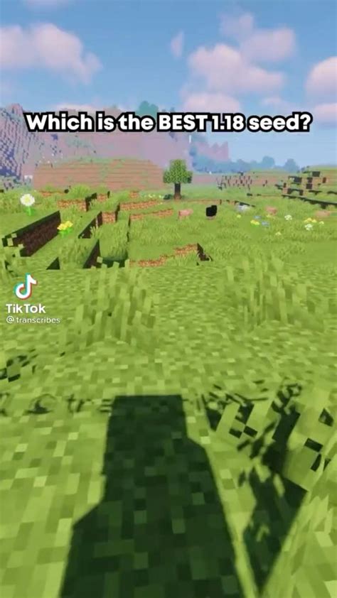 Image result for Semillas Minecraft 1.18 Java