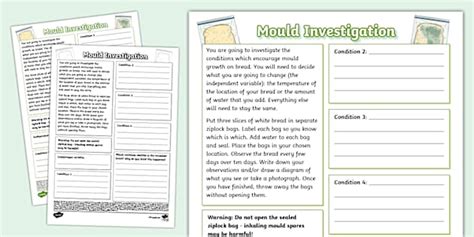 Mould Investigation Worksheet