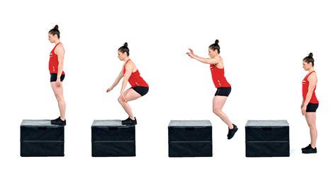 Box Jump Exercises 的图像结果