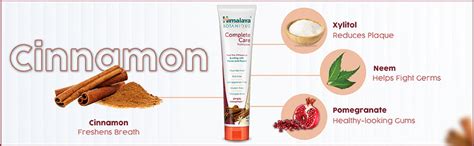 Buy Himalaya BOTANIQUE Complete Care Toothpaste (Simply Cinnamon) 150g ...