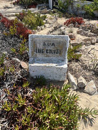 Fun & Sun Tours - Olhao | Tripadvisor