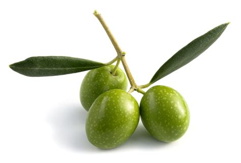 Facts and benefits of Olive oil - Health Benefits