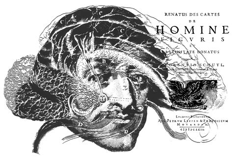 The Flatland Map of Scientific Materialism: The Dubious Legacy of Rene ...