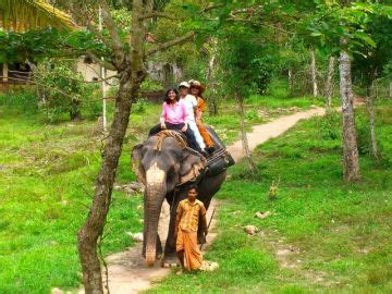 Heart-warming 6 Days 5 Nights Kochi Offbeat Trip Package | Kochi Trip ...