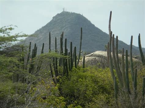 Oranjestad Images - Vacation Pictures of Oranjestad, Aruba - Tripadvisor