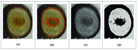 Image result for Contour Tracking Algorithm