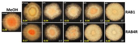 Rice Phyllosphere Bacillus Species and Their Secreted Metabolites ...