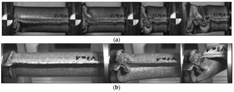 Energy Absorption Capacity in Natural Fiber Reinforcement Composites ...