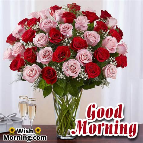 Good Morning Wishes With Rose Flower - Wish Morning