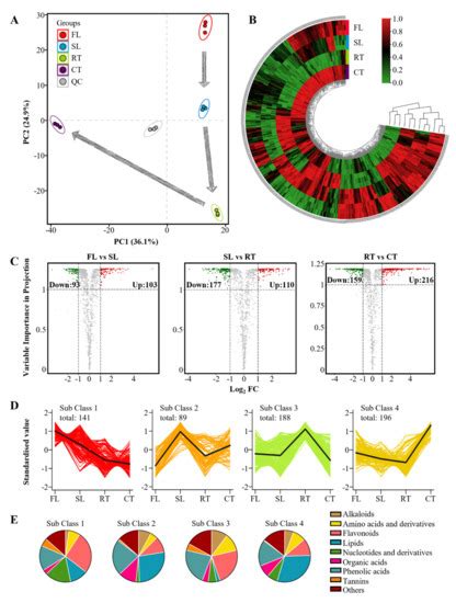 Directed Accumulation of Nitrogen Metabolites through Processing Endows ...