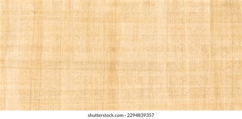 History Background Design 的图像结果