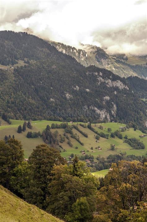 Alps Encoder 的图像结果