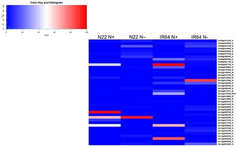 Transcriptome Analysis of Two Rice Varieties Contrasting for Nitrogen ...