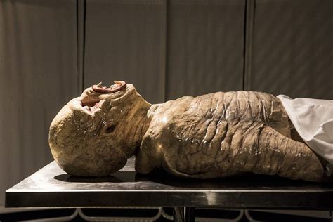 Image result for Alien Stomach Experiment Surgery