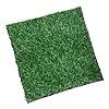 Buy HEAVENGLOW 2xGolf Artificial Turf Mat for Chipping Driving Training ...
