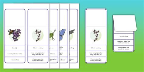 What Am I? Guess the Insect Game (teacher made) - Twinkl