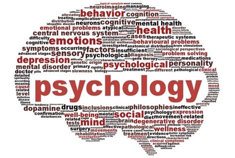 Image result for Basic Science Psychology