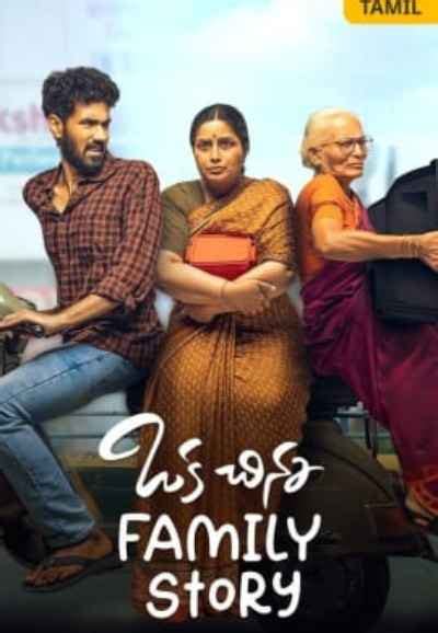 Watch Oka Chinna Family Story Web Series Online, All Seasons and ...