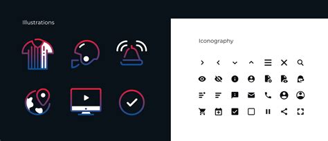 Image result for NFHS Network Camera