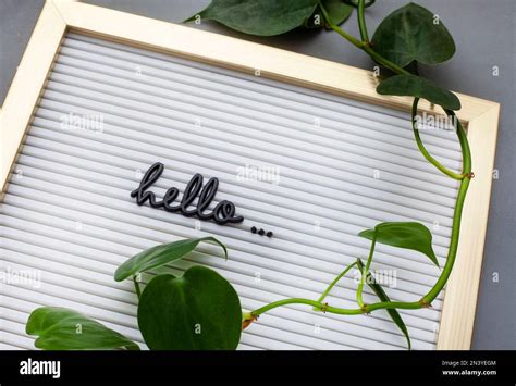 Image result for Hello Written