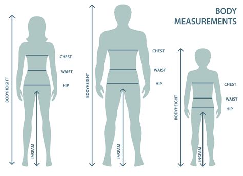 Hips Measurement