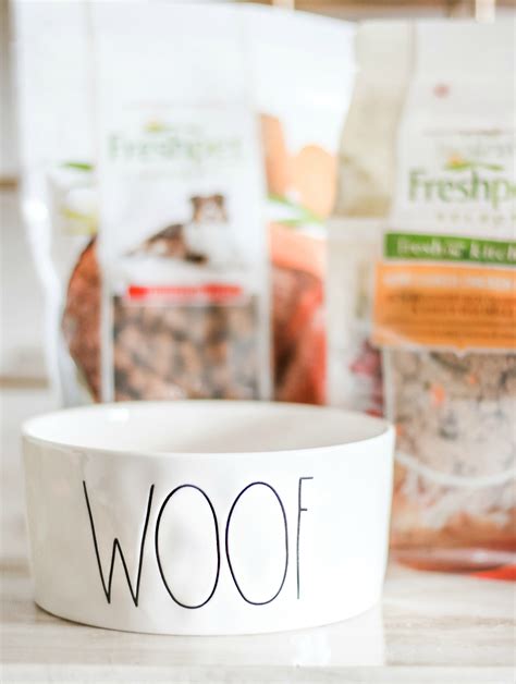 Golden Retriever Dog Food Recommendations and Puppy Care Tips